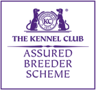 the Kennel Club Assured Breeder Scheme